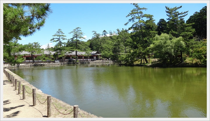 20150714奈良公園061.JPG 20150714奈良公園061.JPG