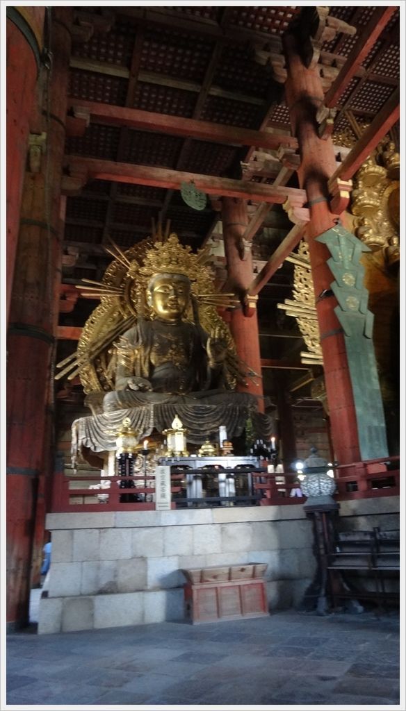 20150714奈良公園072.JPG 20150714奈良公園072.JPG