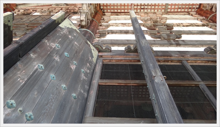 20150714奈良公園078.JPG 20150714奈良公園078.JPG