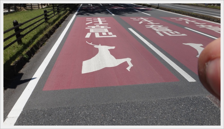 20150714奈良公園089.JPG 20150714奈良公園089.JPG