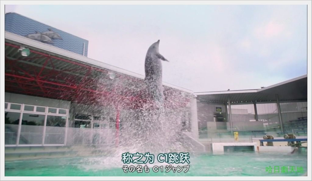 NHK-夏季日劇-水族館女孩 (6).JPG NHK-夏季日劇-水族館女孩 (6).JPG