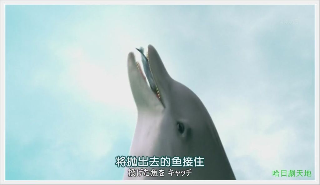 NHK-夏季日劇-水族館女孩 (20).JPG NHK-夏季日劇-水族館女孩 (20).JPG