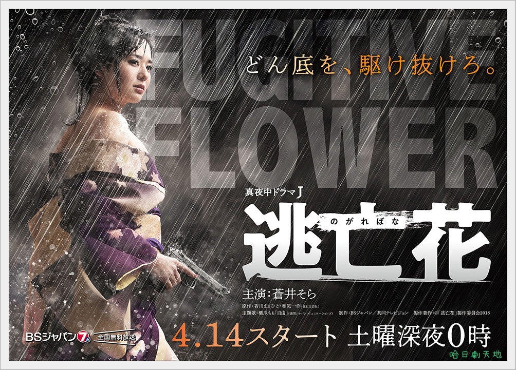 逃亡花.jpg 逃亡花.jpg