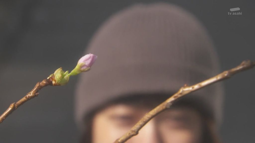 派遣占卜師中第九集大結局 (64).JPG 派遣占卜師中第九集大結局 (64).JPG