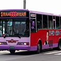 ssbus_666e_163ad.jpg