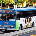 ssbus_290_ah536_2.JPG