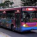 esbus_neifu_621ab.JPG