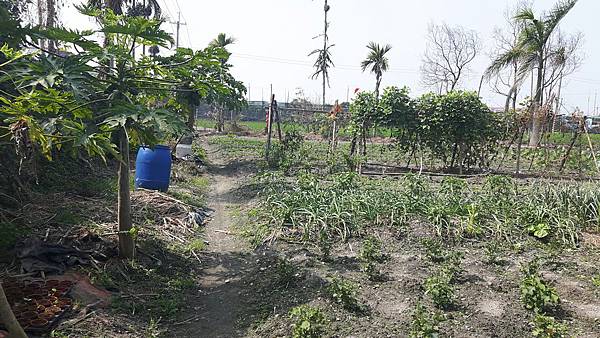 北斗民生路角地2分嫀_170424_0005 北斗民生路角地2分嫀_170424_0005