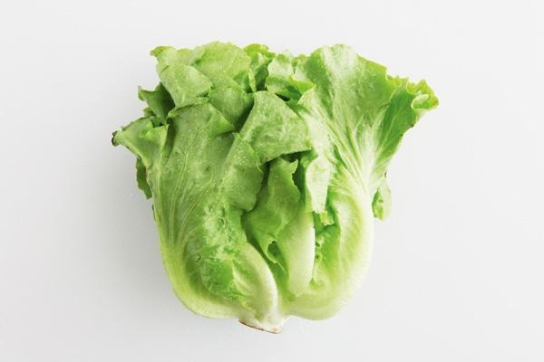 s_m113967_103916_1460092833