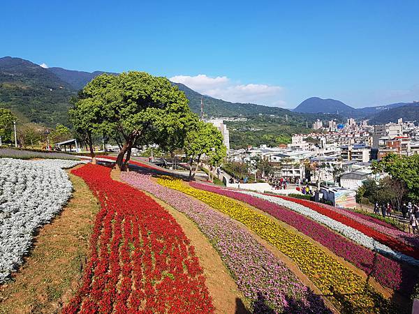 20210218_153110 20210218_153110