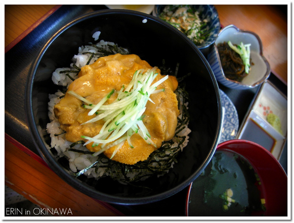 古宇利島-海膽蓋飯.jpg