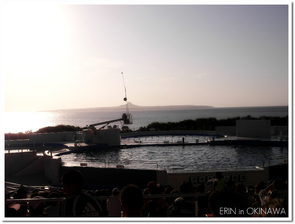 美之海水族館-海豚劇場.jpg