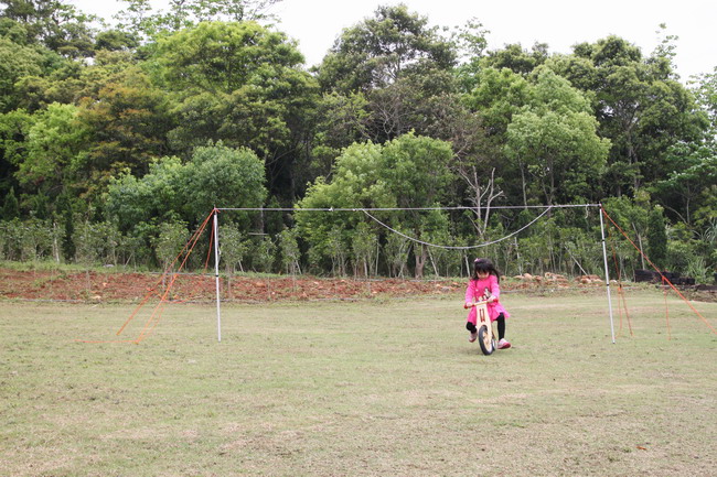 1020331-014.JPG 1020331-014.JPG