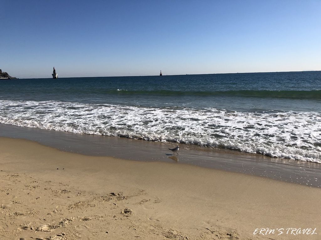 韓國 釜山 海雲台海水浴場 漫步美麗海灘 海雲台市場 錦繡河豚湯 艾琳旅遊趣 痞客邦