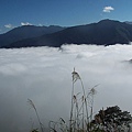 雲海