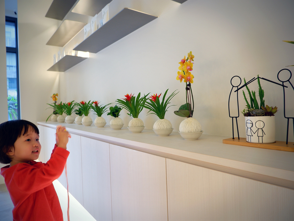 st.tree_cafe-12.jpg st.tree_cafe-12.jpg