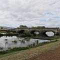 蘿絲橋