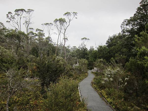 搖籃山步道Enchanted Walk