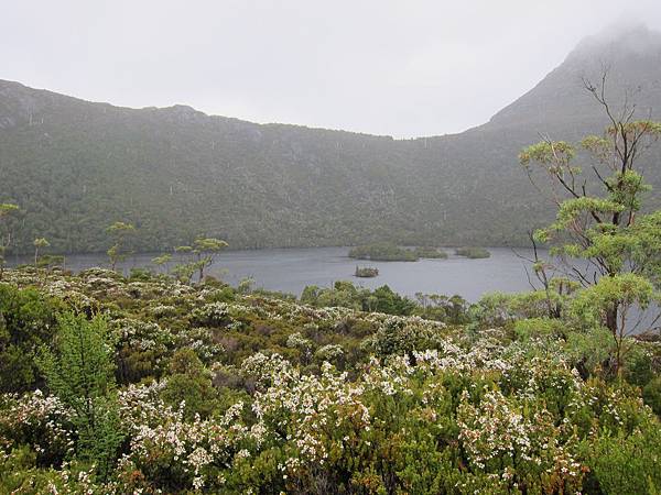 搖籃山鴿子湖