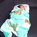 baby 004.jpg