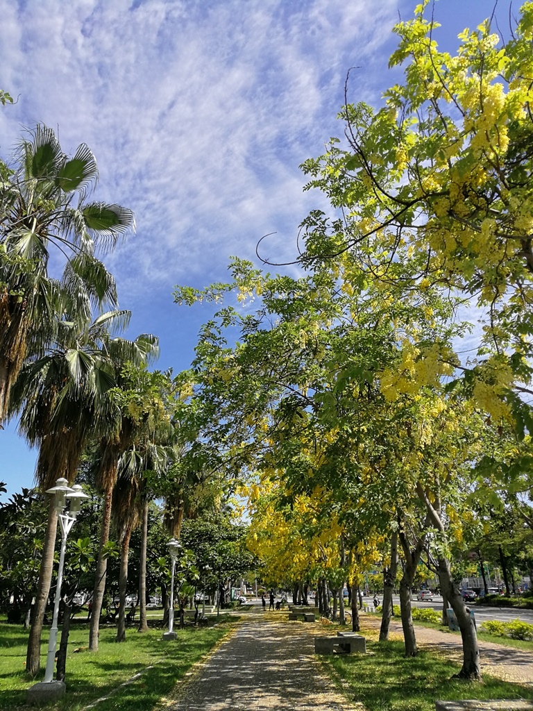 IMG_20170531_142900.jpg IMG_20170531_142900.jpg