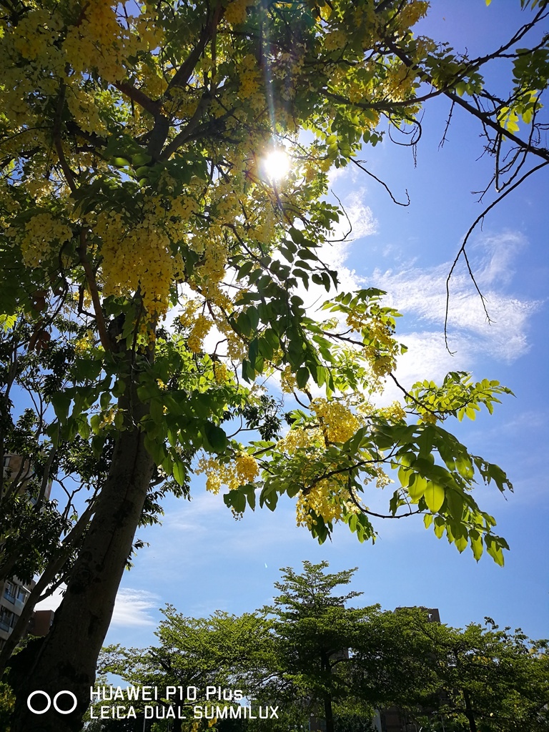 IMG_20170531_143258.jpg IMG_20170531_143258.jpg