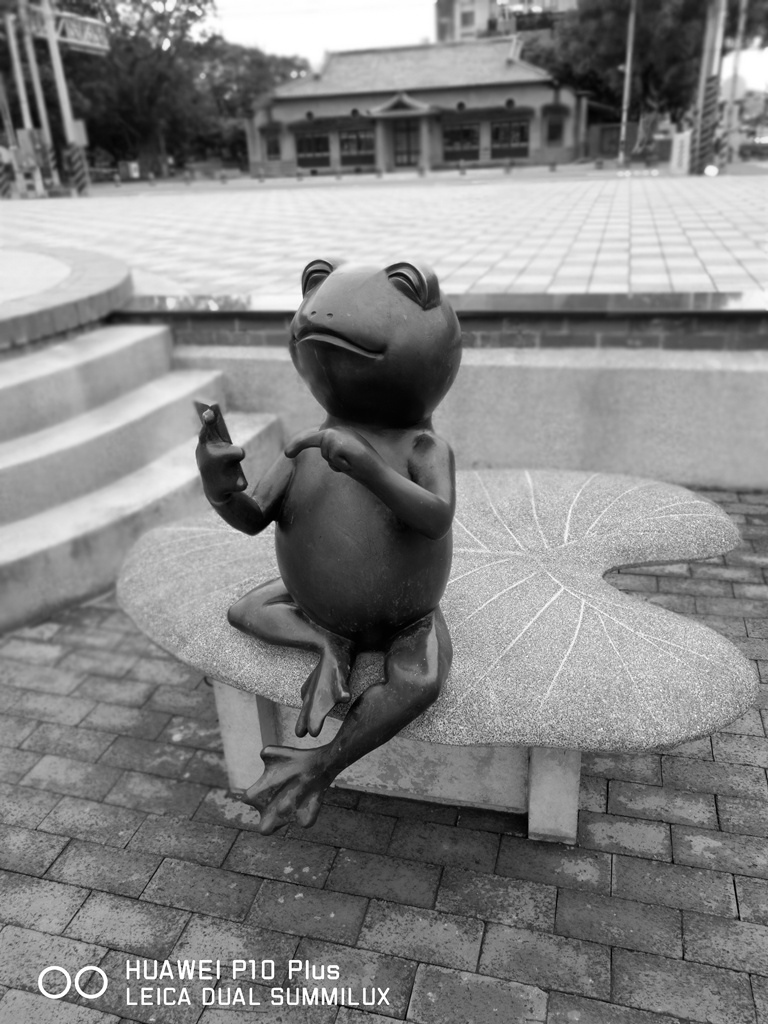 IMG_20170619_132737.jpg IMG_20170619_132737.jpg