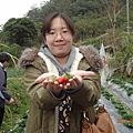 2014-2-15苗栗草莓行_15.JPG