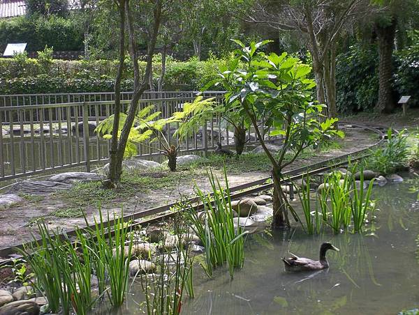 照門休閒農業區 九芎湖金谷園 景觀之一