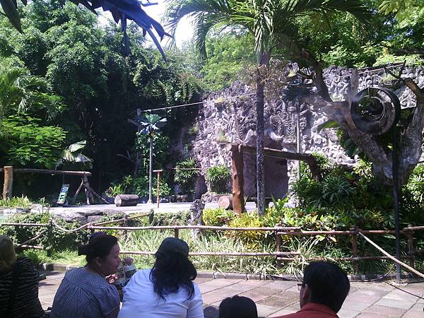 巴里島 Bali Safari and Marine Park 野生動物園