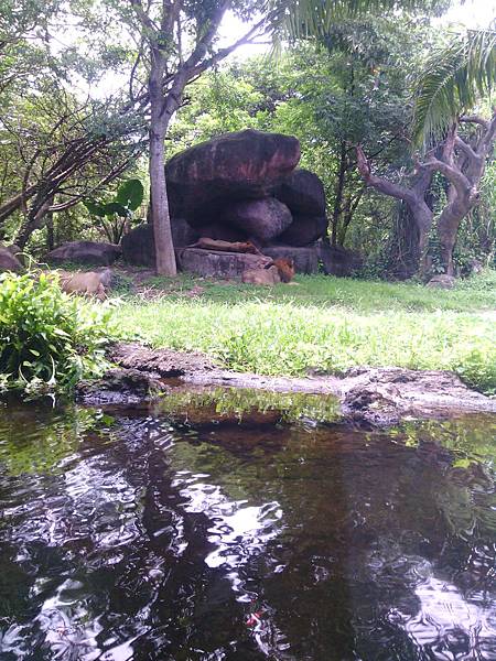 巴里島 Bali Safari and Marine Park 野生動物園