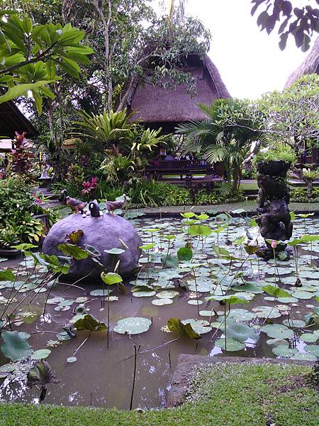 巴里島 髒鴨餐廳 Laka Leke