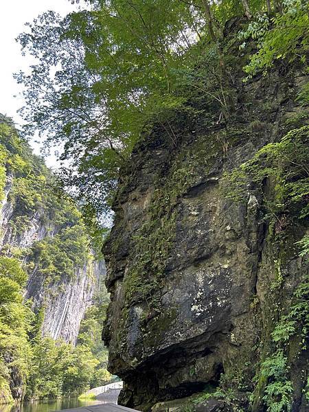 [仙台] 宮城藏王狐狸村、猊鼻溪、中尊寺、松島、Beny L