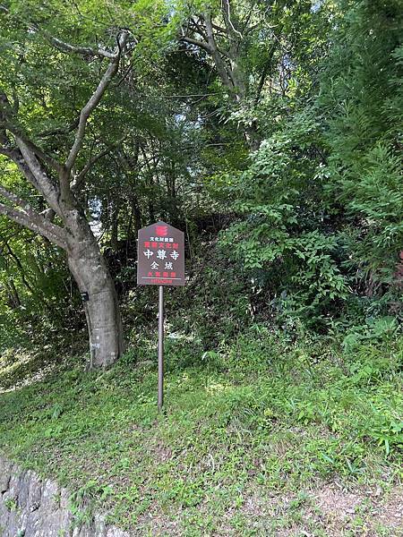 [仙台] 宮城藏王狐狸村、猊鼻溪、中尊寺、松島、Beny L