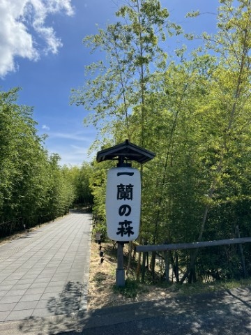 [福岡] 糸島一蘭之森、糸島のトトロの森、但馬屋kitte博