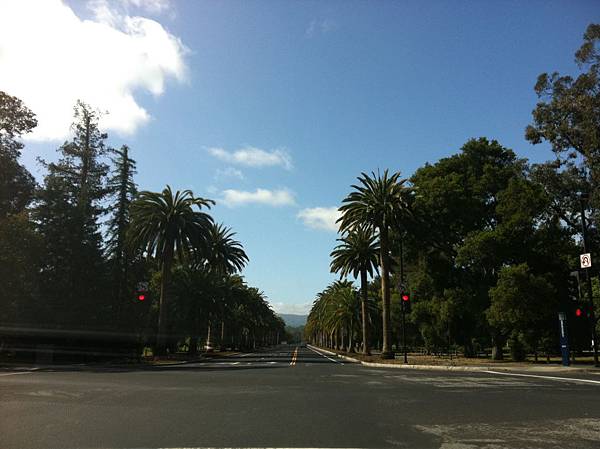 Stanford University 01.JPG