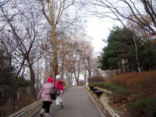 南山公園一大早的美樣