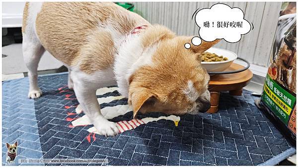 【寵物不挑嘴飼料系列】NH+擁恆低敏天然糧小型熟齡犬全面照護