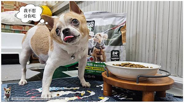 【寵物不挑嘴飼料系列】NH+擁恆低敏天然糧小型熟齡犬全面照護