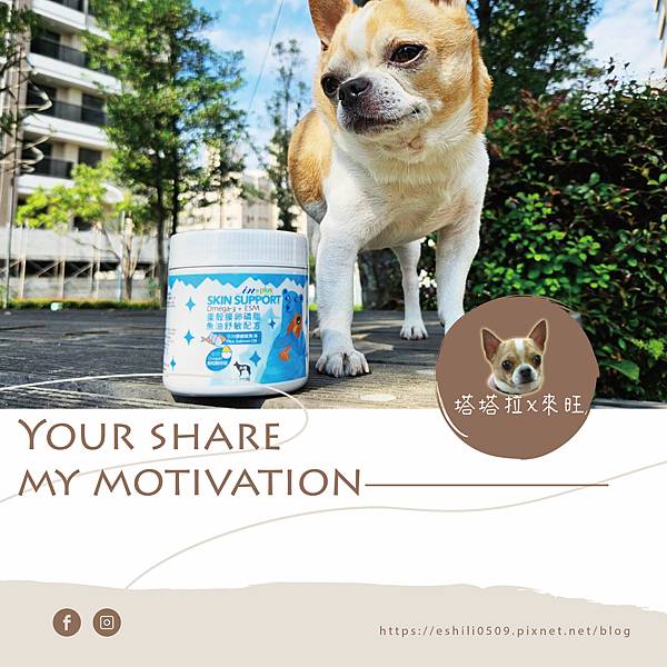 【寵物也要一起健康保養】西班牙專利蛋殼膜．毛寶貝養皮膚最佳首