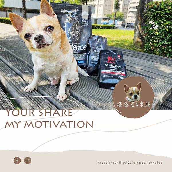【寵物不挑嘴飼料系列】2024飼料推薦．來旺也會動動尊口八犬