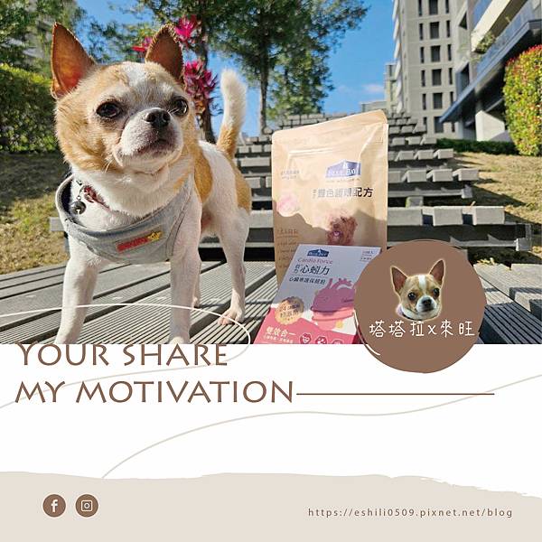 【寵物也要一起健康保養】熟齡犬一起做保健．健健康康就靠倍力心