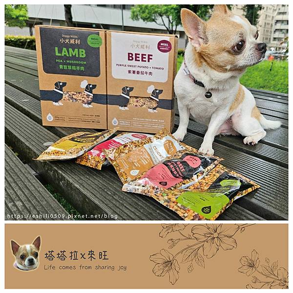 【寵物不挑嘴飼料系列】Doggywillie小犬威利．不用想