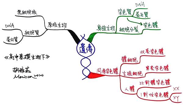 0904遺傳.jpg