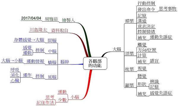 0329腦部位的功能.jpg