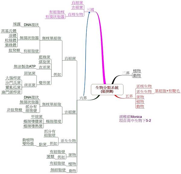 0407生物分類系統 (B).jpg