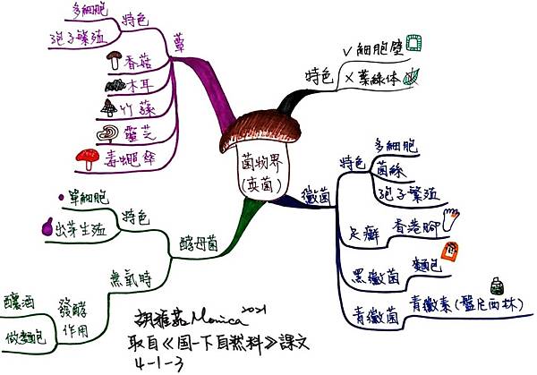 0531菌物界(真菌).jpg