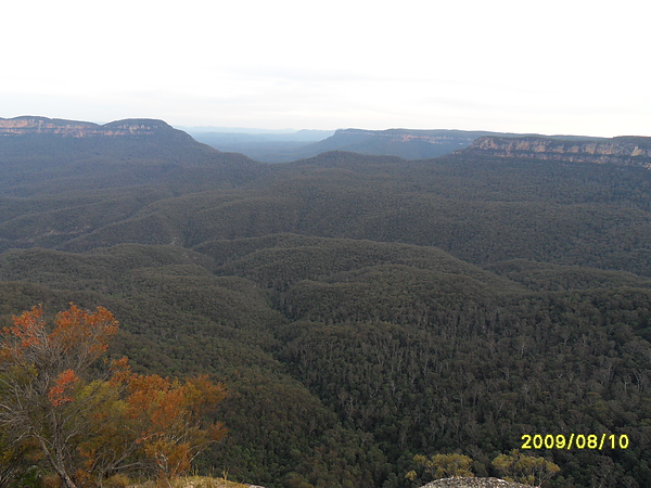 SDC10303.JPG