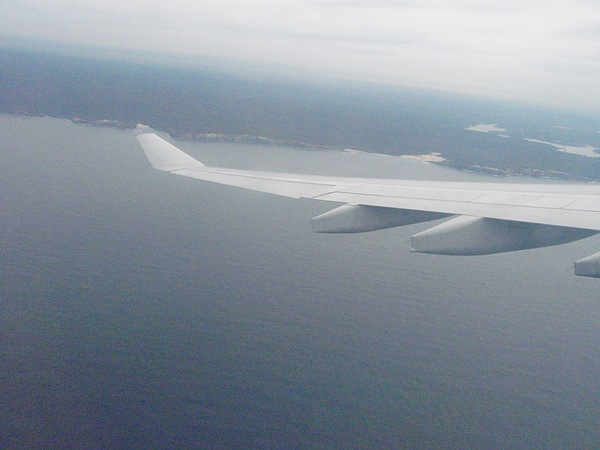 P8100854.JPG