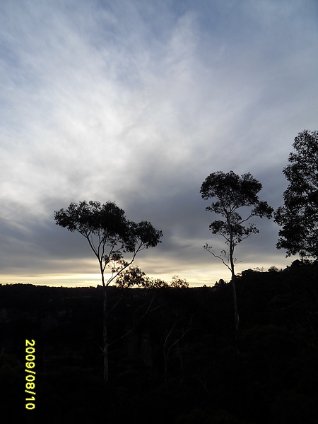 SDC10272.JPG